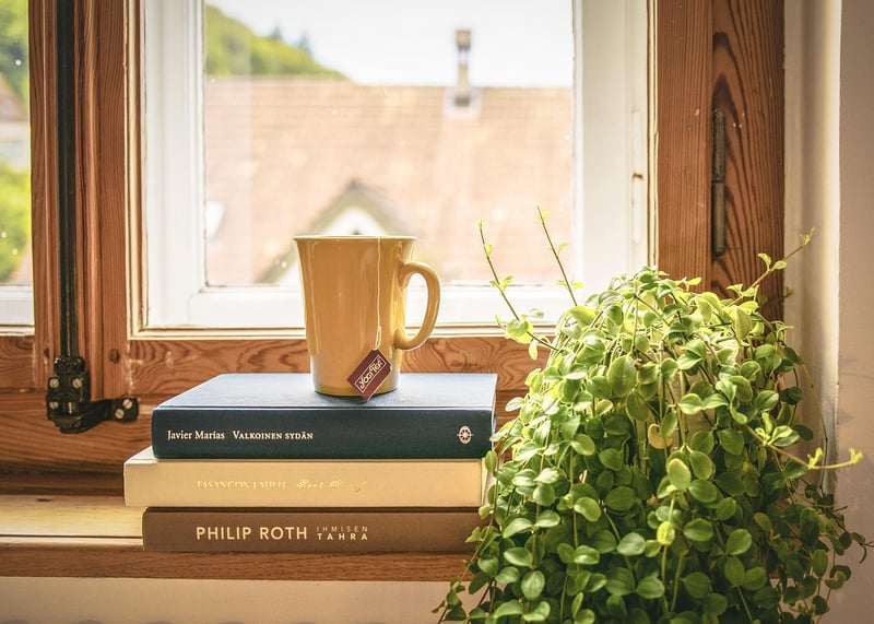 Windowsill Herb Garden